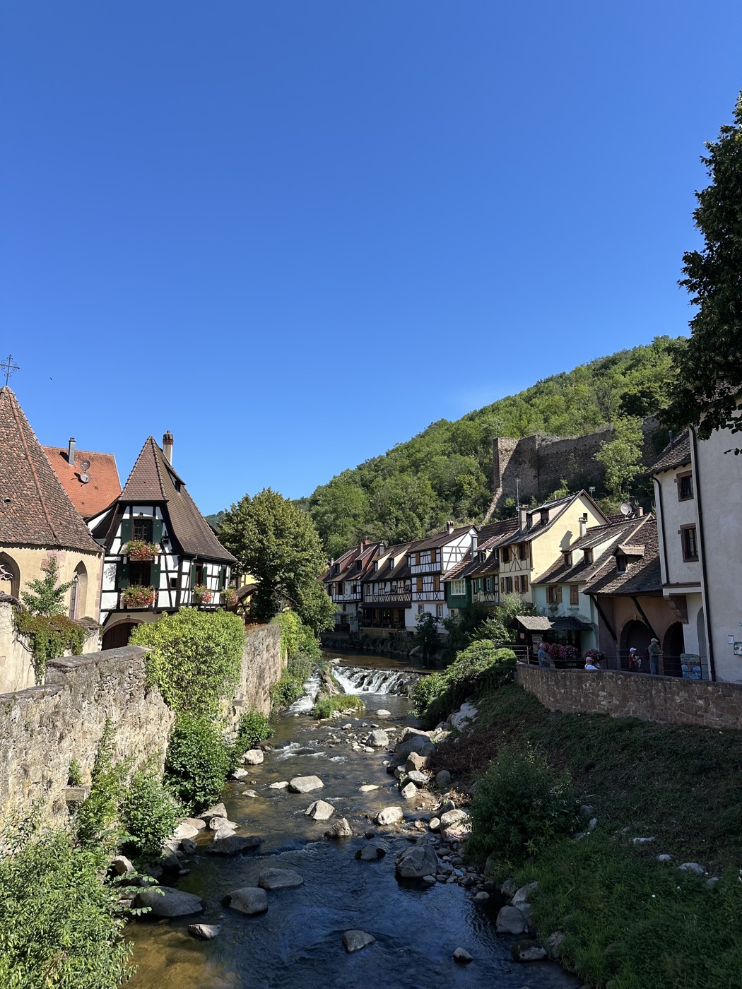 Vineyard village on the Alsace Wine Road